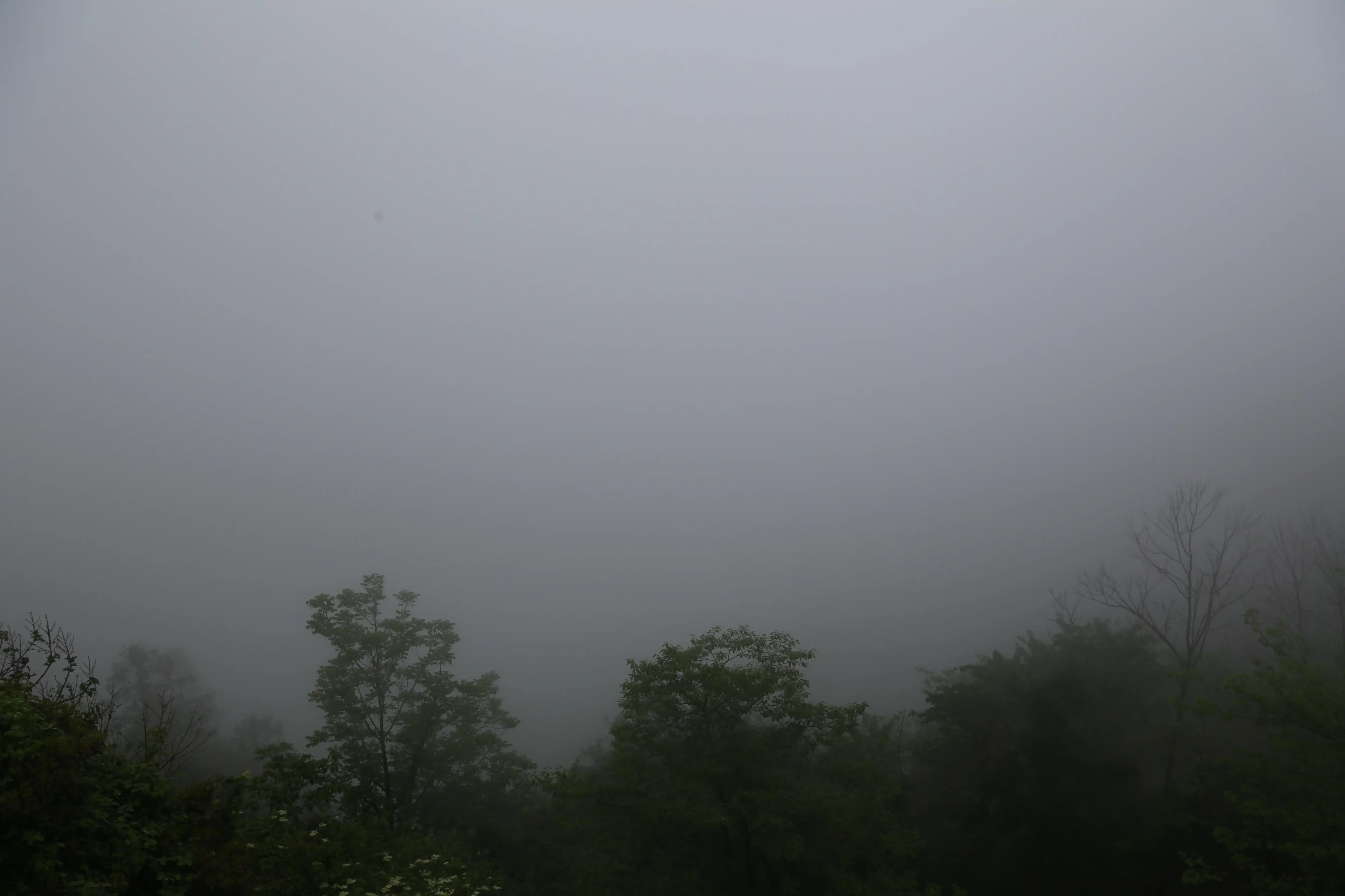 雾气-从山顶往下看